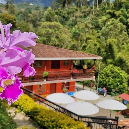 Hotel Orillas Del Pizano Jardín Eksteriør billede
