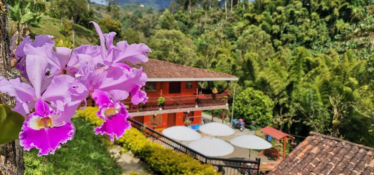 Hotel Orillas Del Pizano Jardín Eksteriør billede