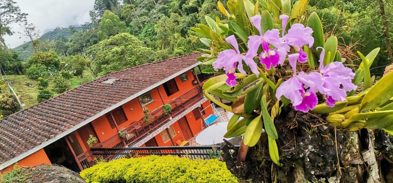 Hotel Orillas Del Pizano Jardín Eksteriør billede