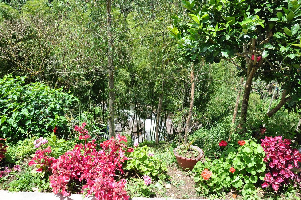 Hotel Orillas Del Pizano Jardín Eksteriør billede